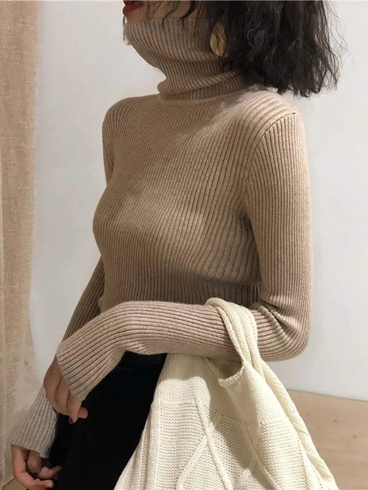 Turtleneck Knitted Sweater