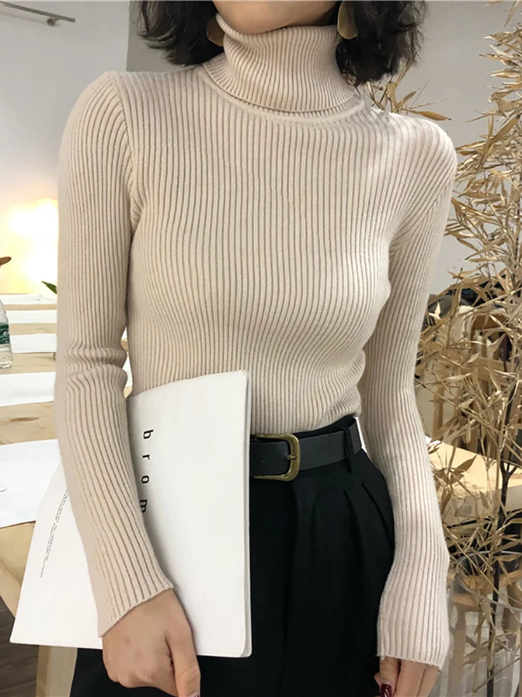 Turtleneck Knitted Sweater