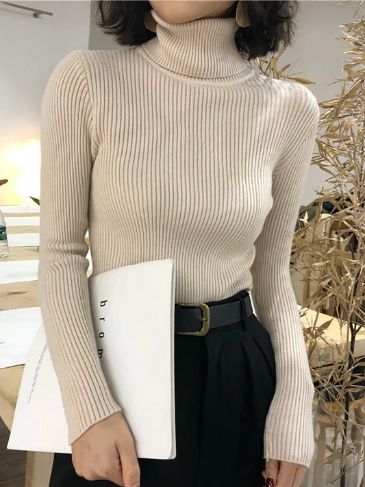 Turtleneck Knitted Sweater