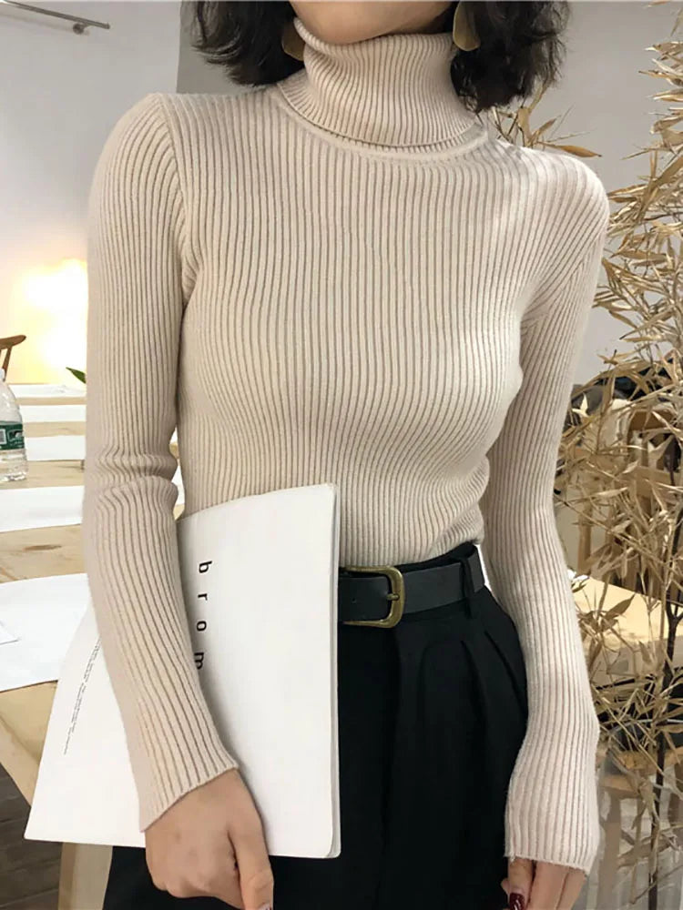 Turtleneck Knitted Sweater