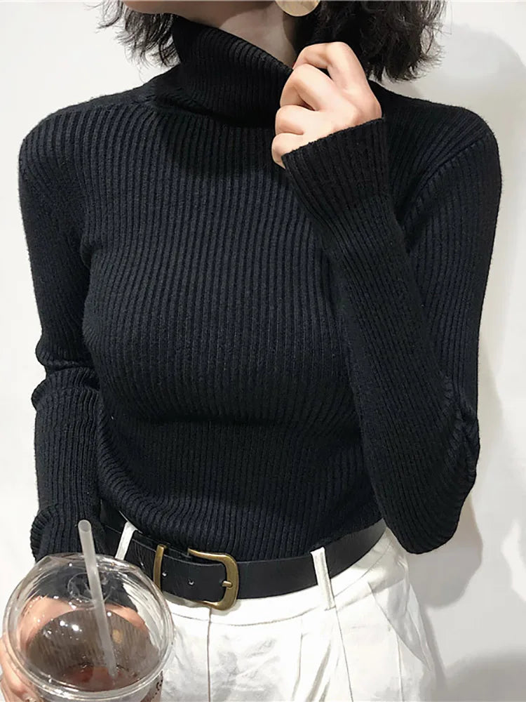 Turtleneck Knitted Sweater