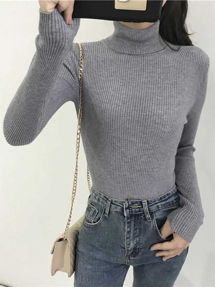 Turtleneck Knitted Sweater