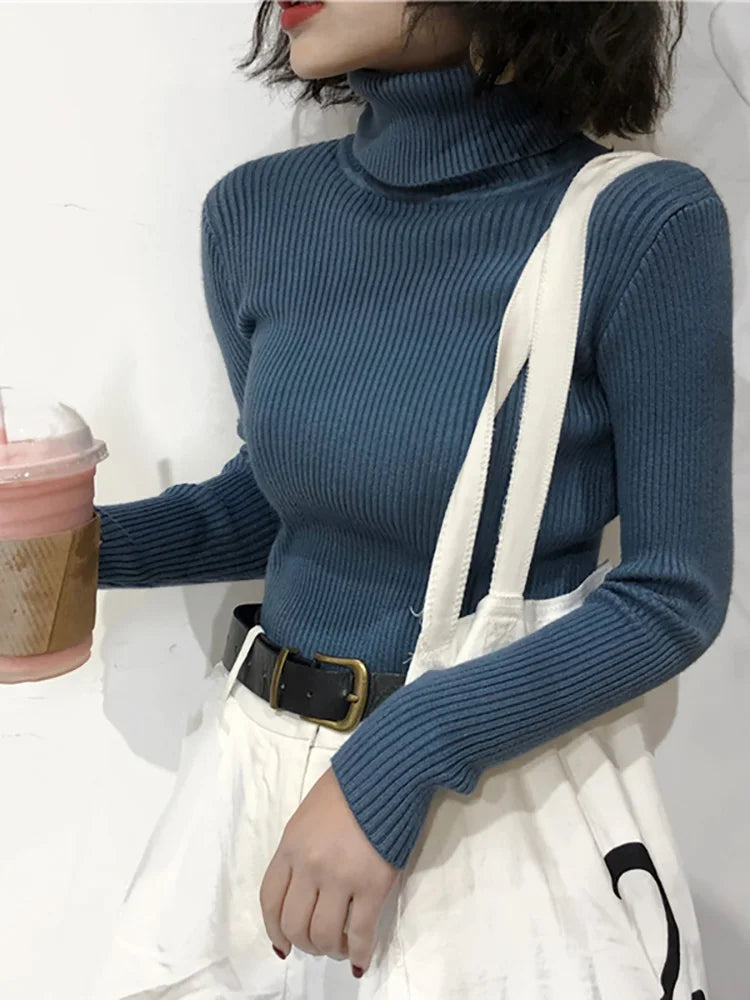 Turtleneck Knitted Sweater