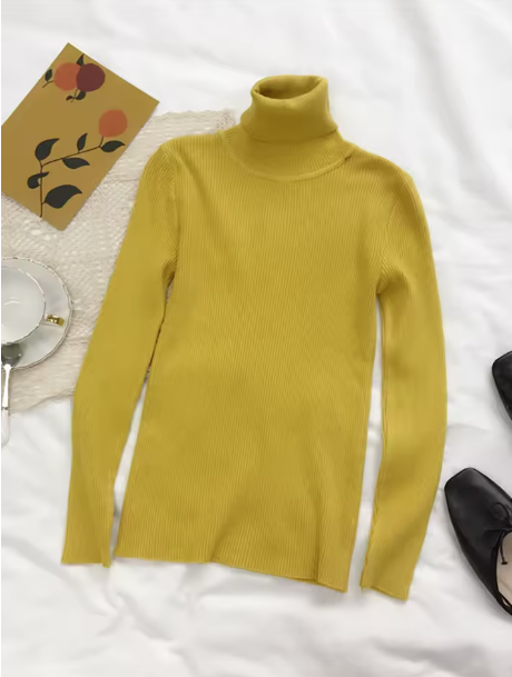 Turtleneck Knitted Sweater
