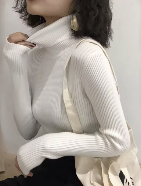 Turtleneck Knitted Sweater