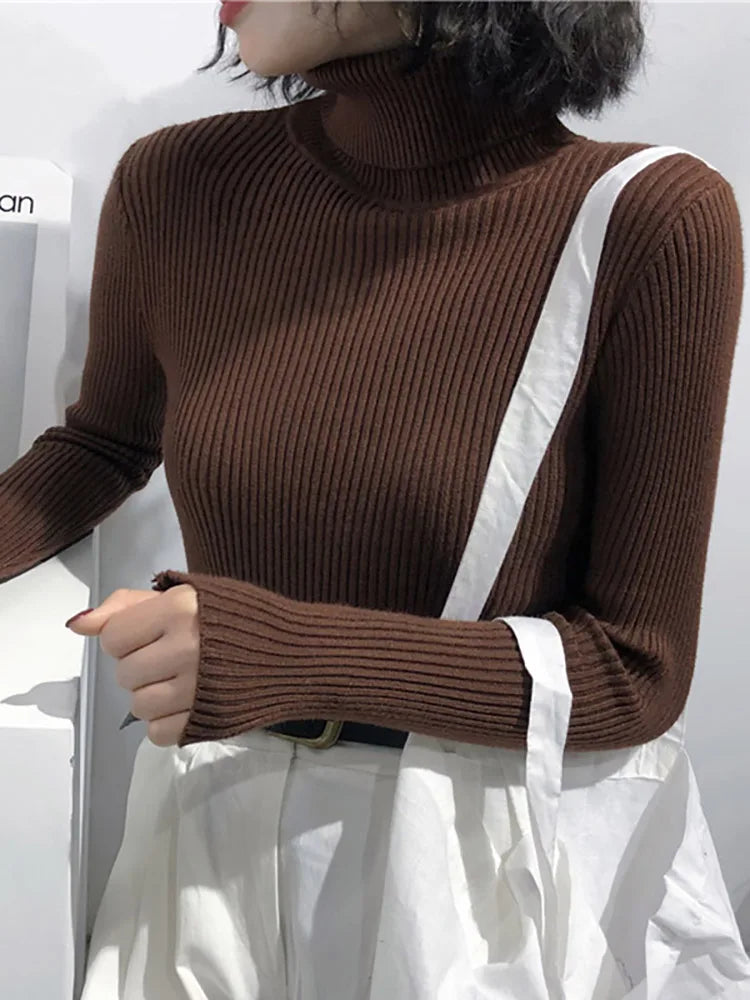 Turtleneck Knitted Sweater